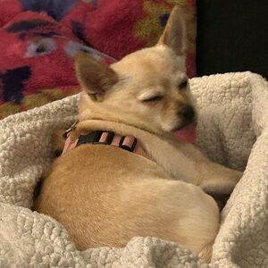 Meet your Posher, Liza